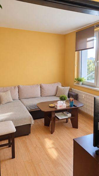 Living room with a sofa, table, and wooden decor flooring in a 2-room apartment.
