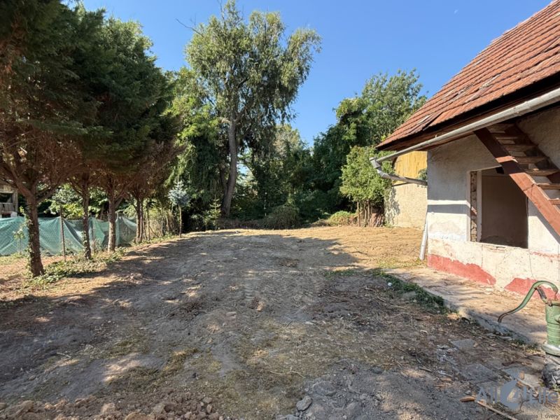The yard of the family house on St. Florian Square in Krakovany surrounded by greenery and trees.