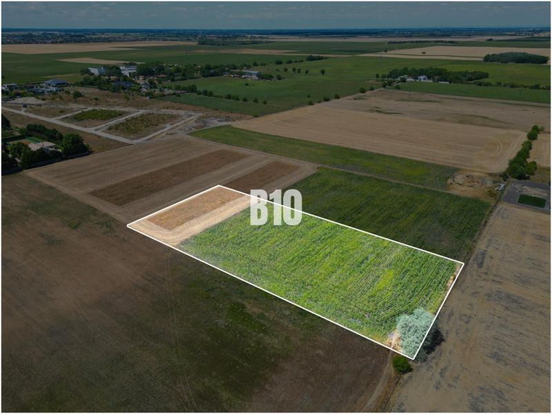 Plots - living in Nové Zámky, a perspective for development between fields and greenery.