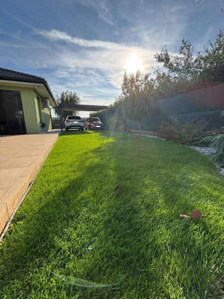 The garden at the family house on Fig Street in Bernolákovo with a sunny residence and greenery.