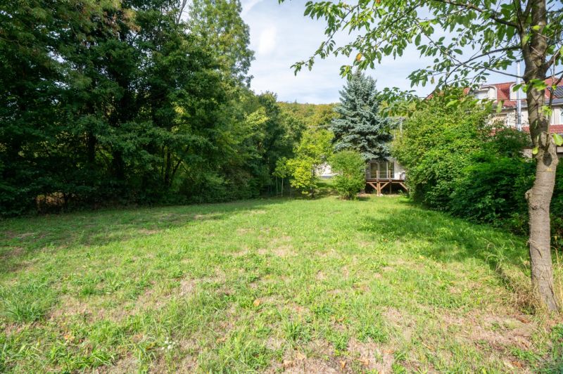 Garden on recreational plots in Bratislava - Devín, Devínska cesta, lined with trees and shrubs.