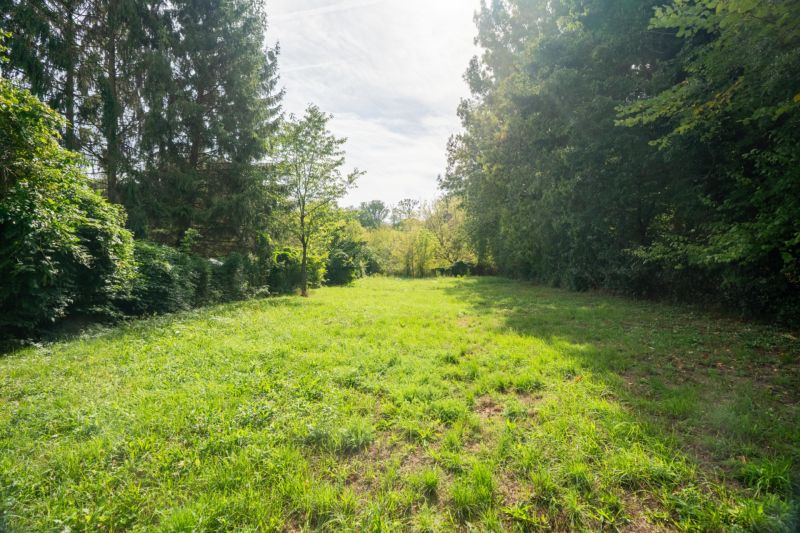 A green meadow surrounded by trees on recreational land in Bratislava - Devín.