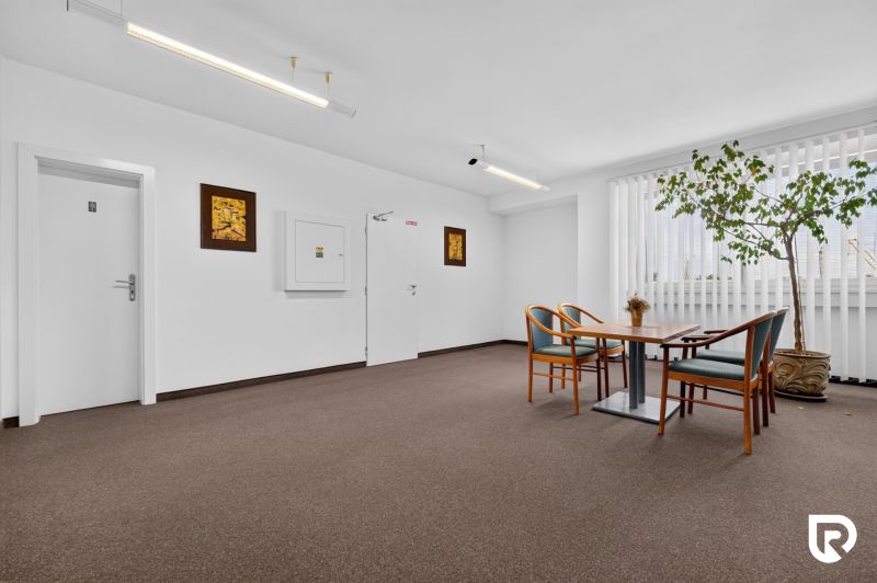 Offices with a desk and chairs, carpet, indoor plant, decorative paintings.
