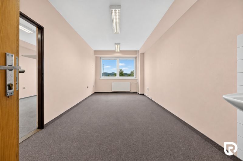 Office space with carpet and two windows, room equipped with a sink.