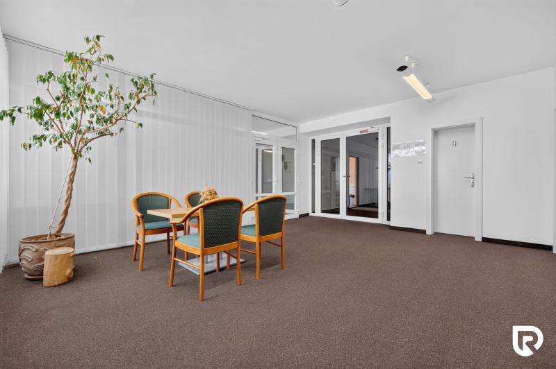 Trees and chairs create a relaxed space in offices.