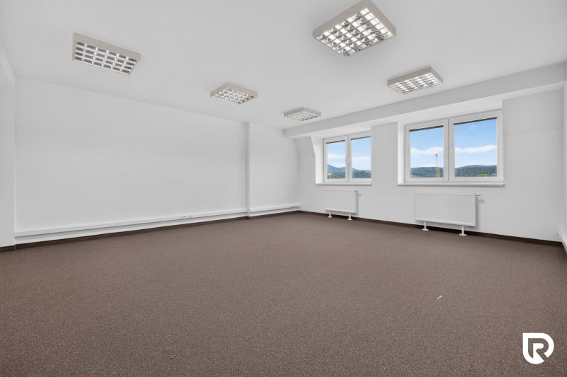 Spacious offices with white walls, carpeted floors, and large windows with a view.