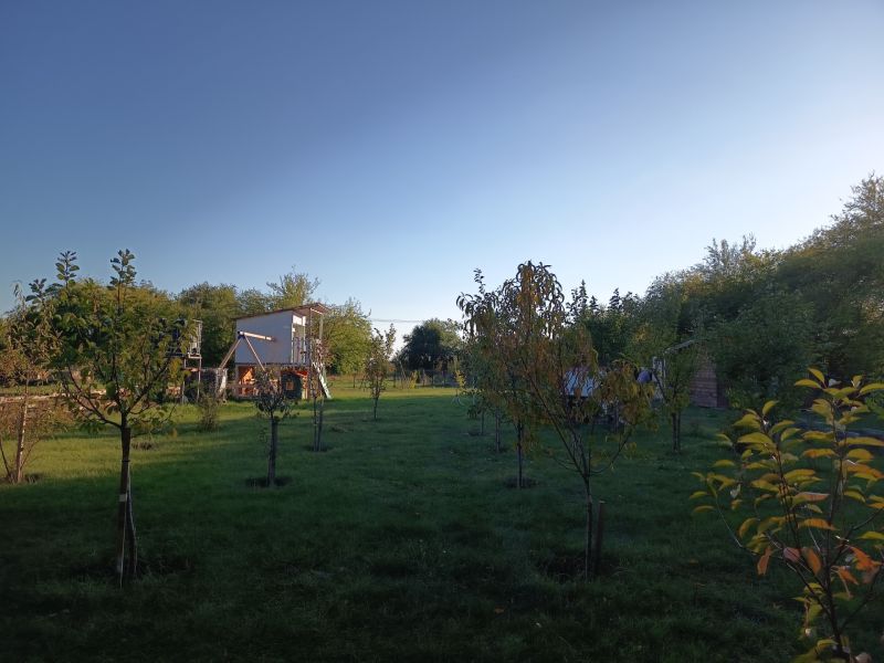 Lawn with trees in gardens at Tatranská 201, Zlaté Moravce.