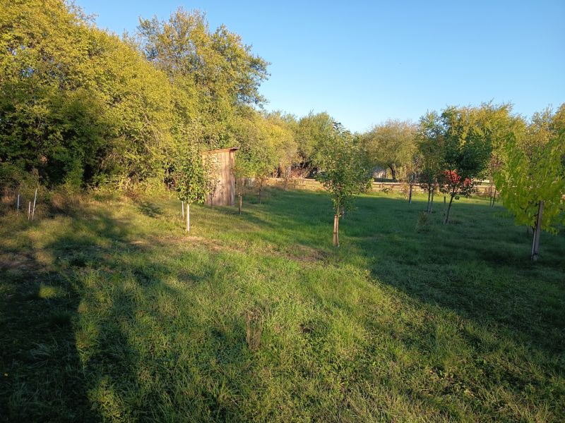 Gardens in Zlaté Moravce on Tatranská 201 with young trees and a wooden shed.