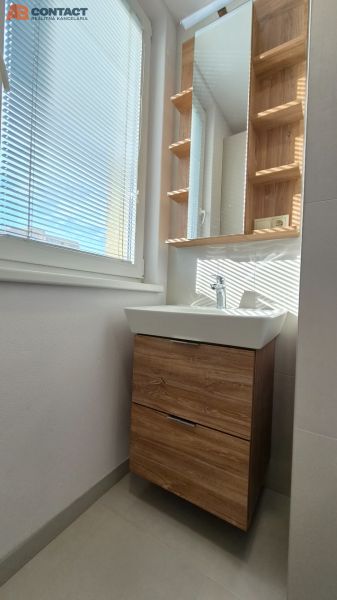 A bathroom with a sink and a cabinet with a wooden decor in a studio apartment.