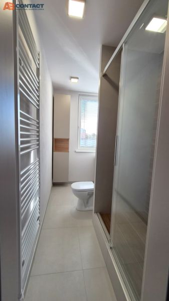Bathroom with a shower, toilet, and modern radiator in a studio apartment.