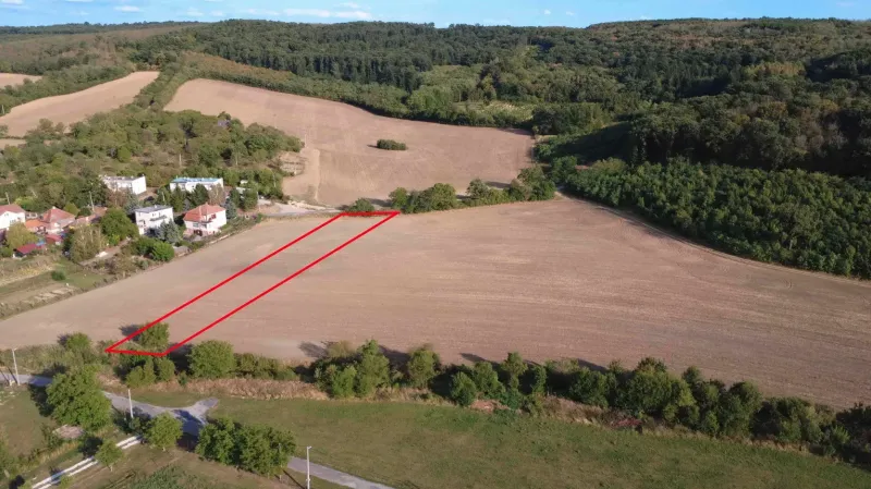 Agricultural and forest land in Podhájska with visible boundaries, surrounded by forests.