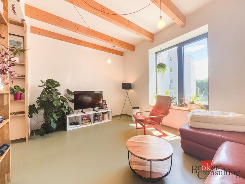 Living room in a 3-room apartment with a sofa, an armchair, and houseplants.