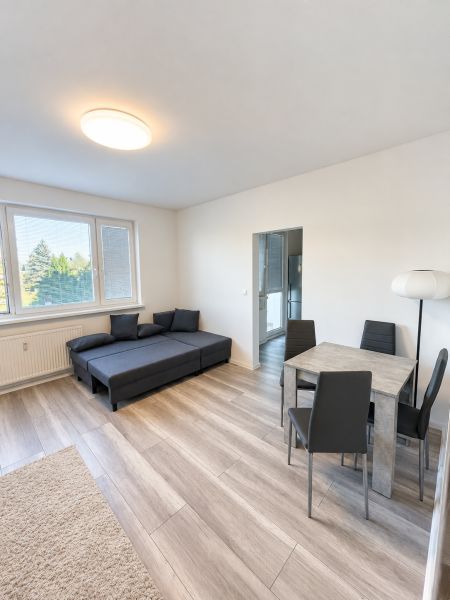 Living room in a two-room apartment with a sofa, dining table, and wooden decor flooring.