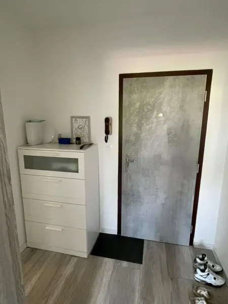 Entrance hallway with wood-patterned flooring, shoe cabinet, and doors in a 2-room apartment.