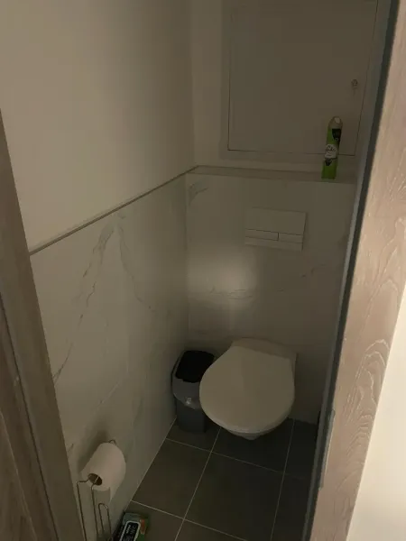 A bathroom with tiles and an air freshener in a 2-room apartment.