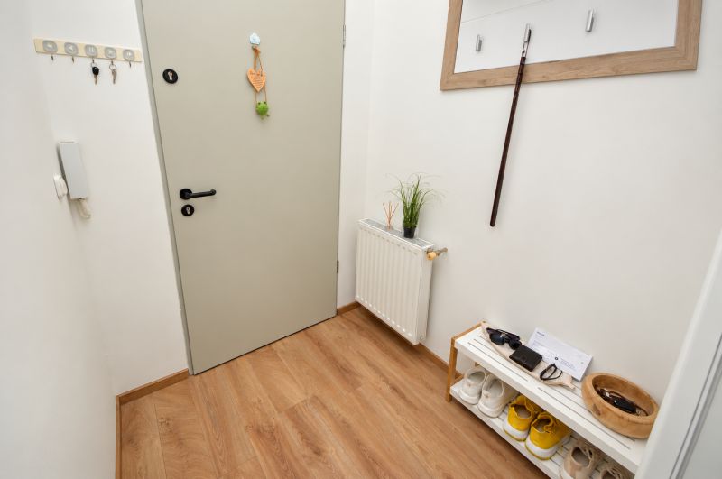 Entrance hall in a one-room apartment with wood-patterned flooring and storage space.