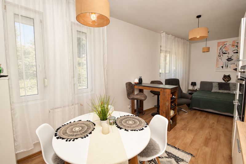 Interior of a 1-room apartment with a wooden decor floor, dining table, and sofa.