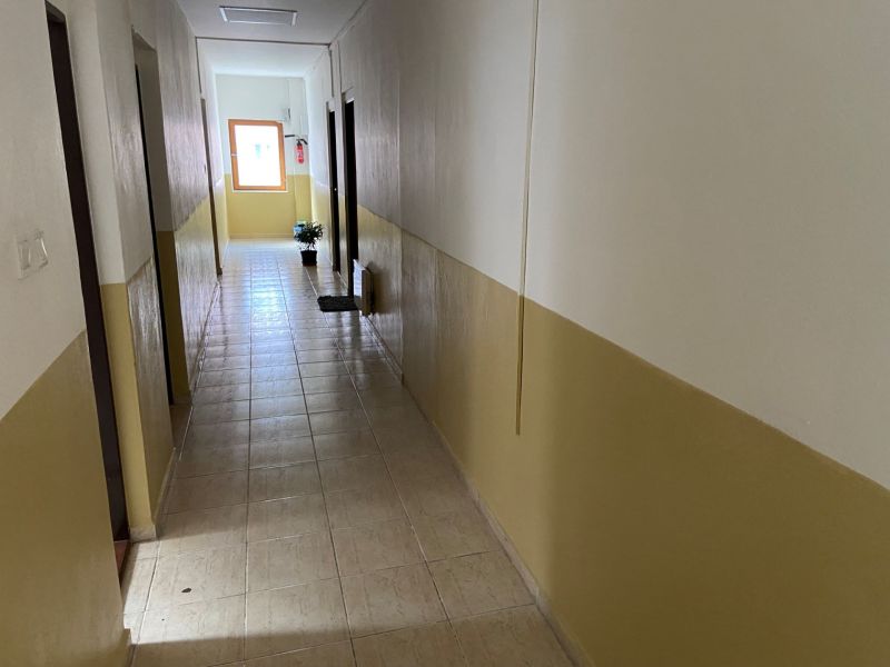A hallway in offices with tiles and a houseplant by the window.
