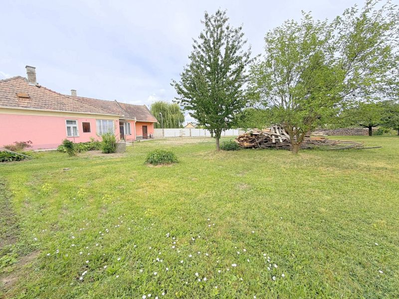 A family house in Dunakiliti with a pink facade surrounded by a spacious garden and trees.