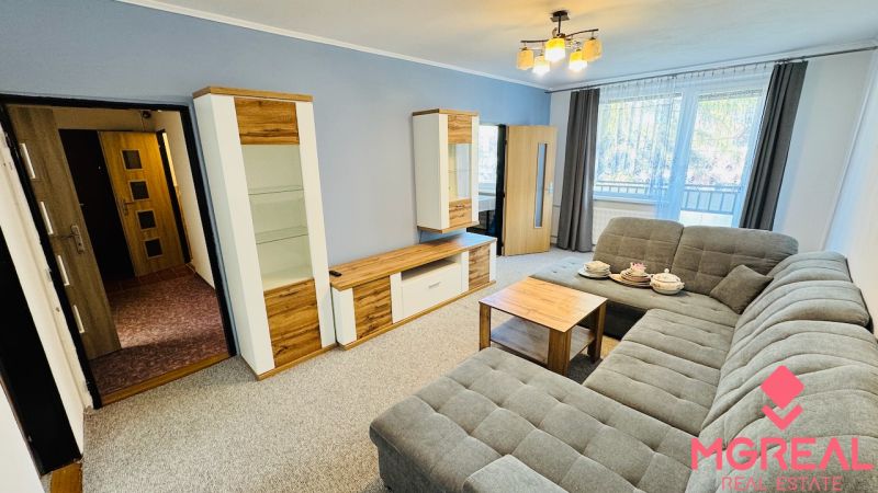 Living room with a sofa, wardrobe, and wooden decor flooring in a 3-room apartment.