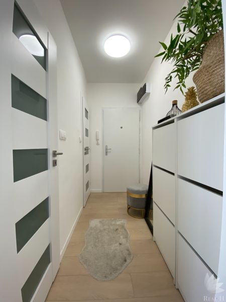 A hallway with white walls and furniture in a 3-room apartment, decorated with plants.