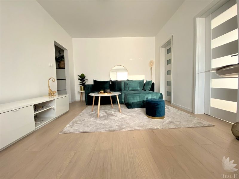 Living room in a 3-room apartment with a sofa, carpet, and wooden decor flooring.