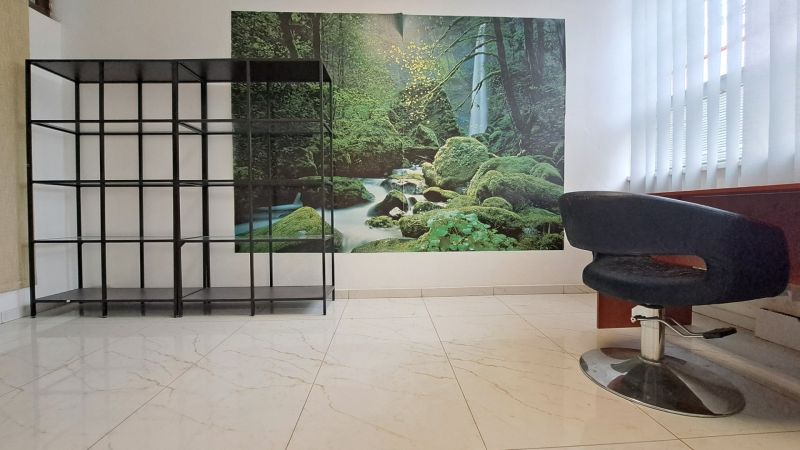 Interior of commercial premises with a shelf, chair, and natural motif on the wall.