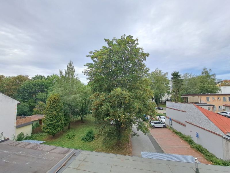 View from a 3-room apartment in Poprad to greenery and parking spaces in front of the buildings.