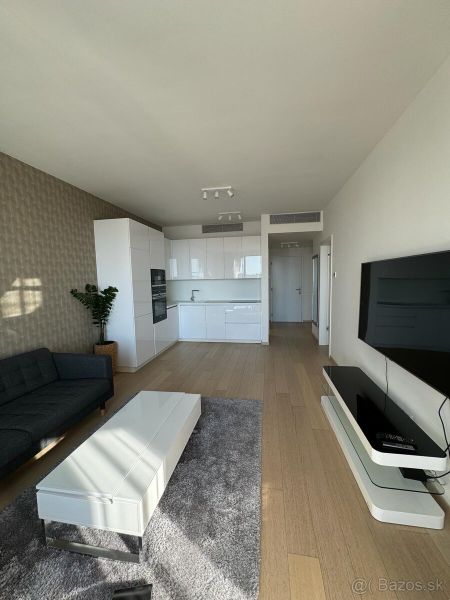 Living room in a 2-room apartment with a kitchen, sofa, and wooden decor flooring.