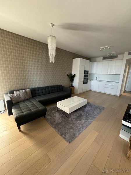 Living room in a two-room apartment with a wooden decor floor, sofa, and kitchen unit.
