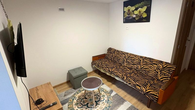 A room in a family house with an animal print sofa and wood-patterned flooring.