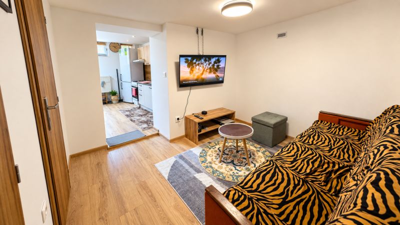 Interior of a family house with a wooden decor floor, a sofa, and a television.