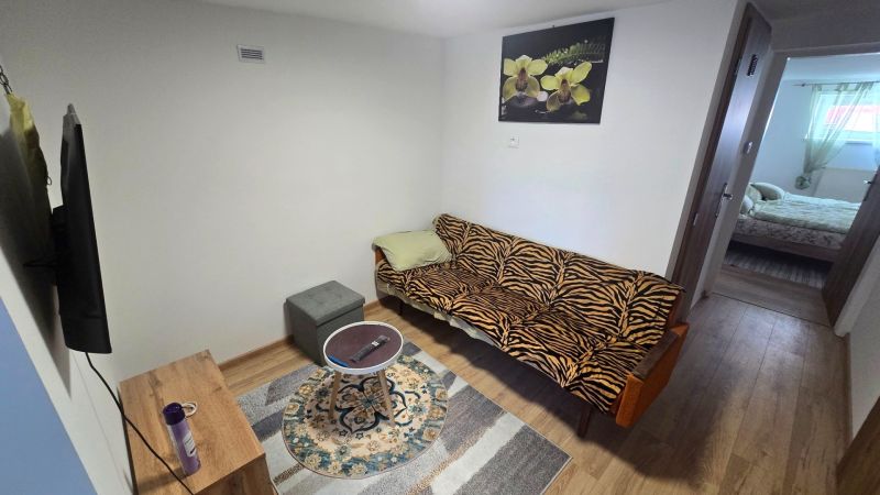 Living room in a family house with wood-patterned flooring, a sofa, and a television.