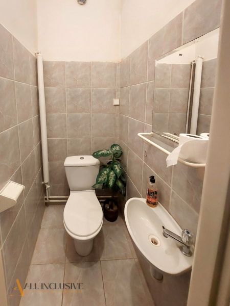 Bathroom in a 2-room apartment with tiles, a sink, a toilet, and a decorative plant.