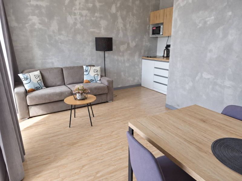 A minimalist living room in a two-room apartment with a wooden decor floor and a gray sofa.