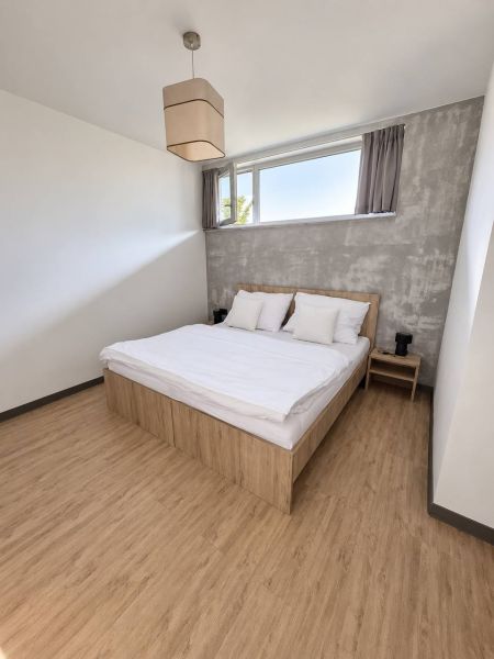 Bedroom in a 2-room apartment with a bed, gray wall, and wood-patterned floor.