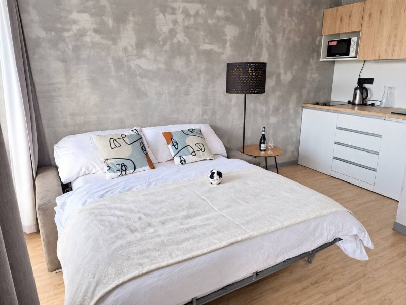 2-bedroom apartment with a sofa converted into a bed, a kitchenette, and a wooden decor floor.