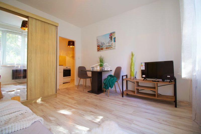 Studio apartment with a bright living room, wood-patterned flooring, and a kitchenette.