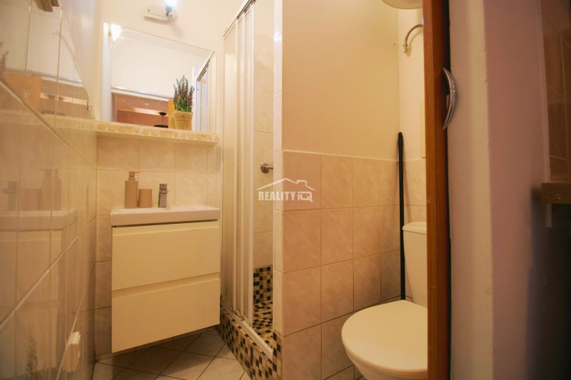 A bathroom in a studio apartment with a shower and a sink.