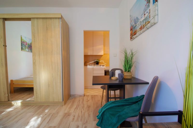 A studio apartment with a wooden floor, a table, and a plant, cozy furnishings.