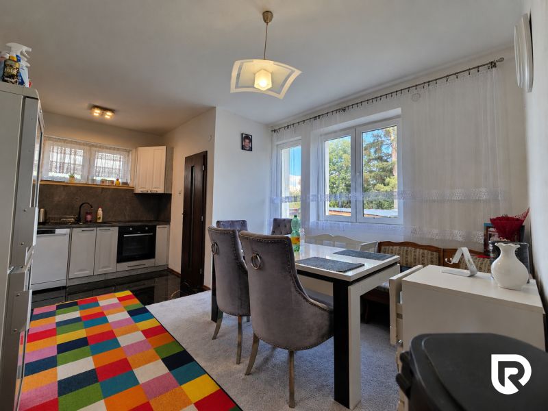 Kitchen with dining area in a family house, floor with wooden decor, colorful carpet.