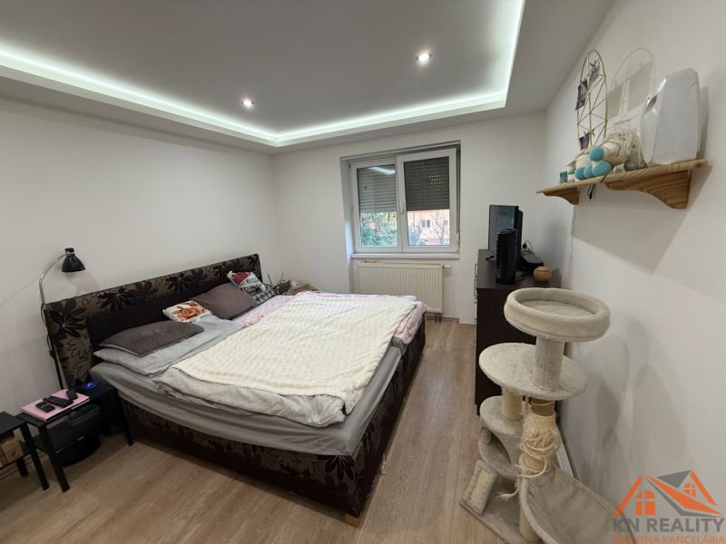 A bedroom in a two-room apartment with a wooden decor floor and a cat scratching post.