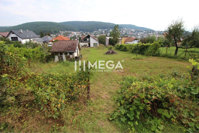 The garden at family houses on Brestovska Street in Humenne with a view of the city.