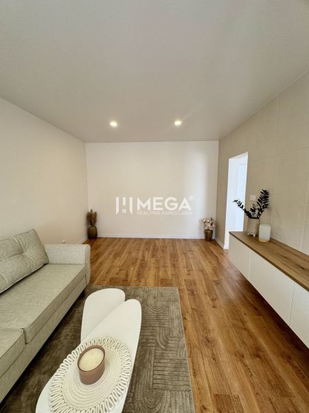 Living room in a studio apartment with wood-patterned flooring, a sofa, and decorations.