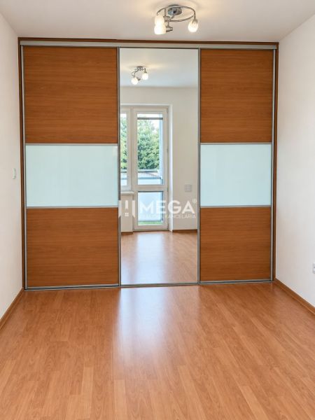 Wooden decor flooring, built-in wardrobe, and light fixture in a 2-room apartment.
