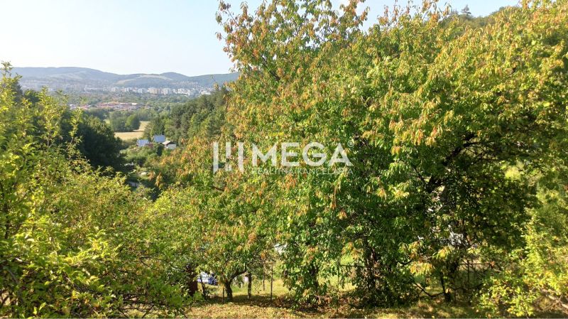The greenery of gardens in Humenné with a view of the distant city and hills.