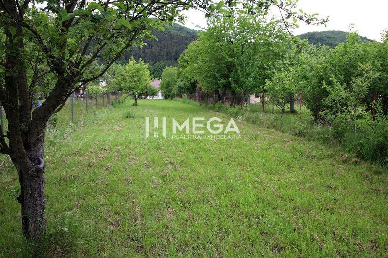 Greenery and fruit trees on a residential plot in Ptičie on Ptičie Street.