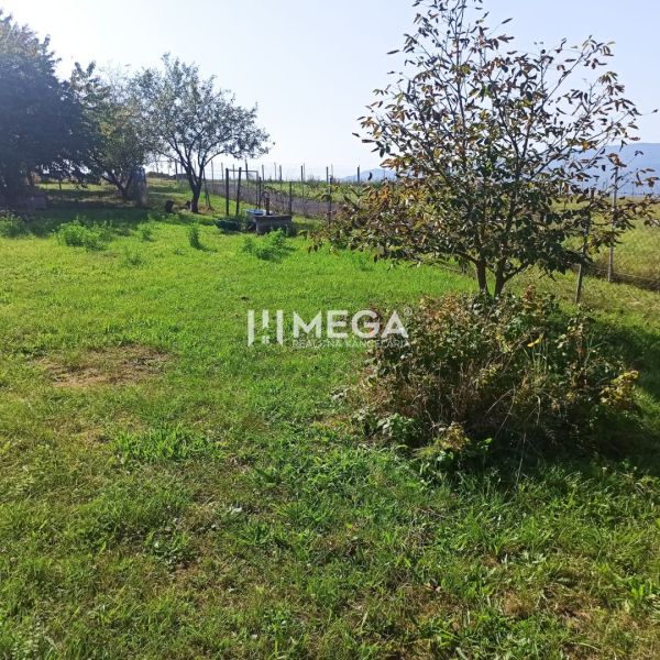 A grassy plot in Humenné for living, fenced and with planted trees.