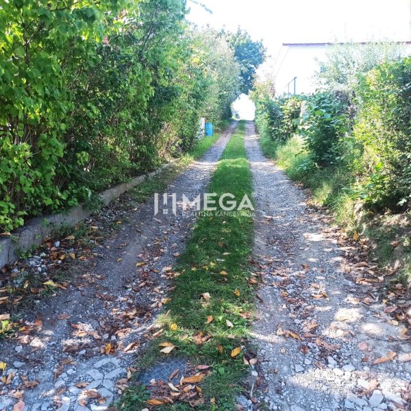 Path between trees on a residential plot in Humenné on Humenné Street.