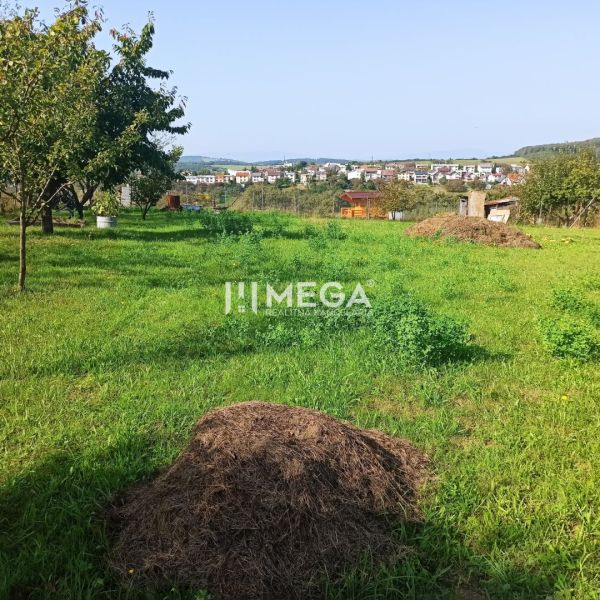 Greenery and trees on residential plots in Humenné.